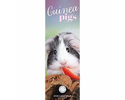 Cavia Kalender 2026 Slimline