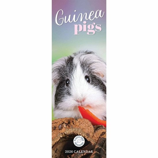 Cavia Kalender 2026 Slimline