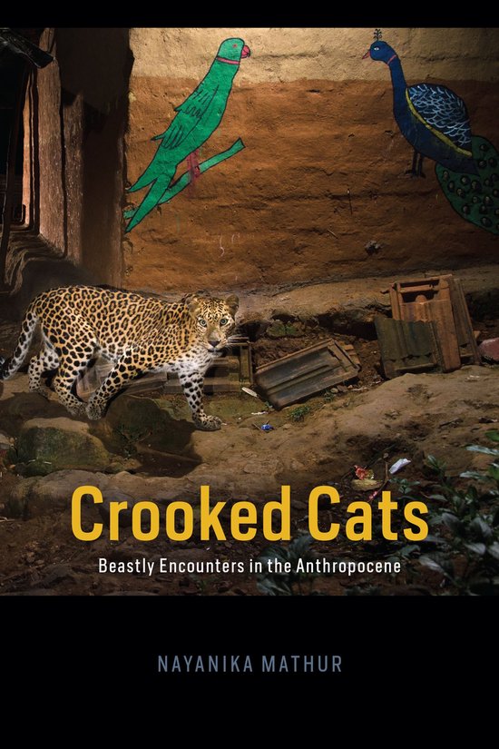 Animal Lives - Crooked Cats - cover