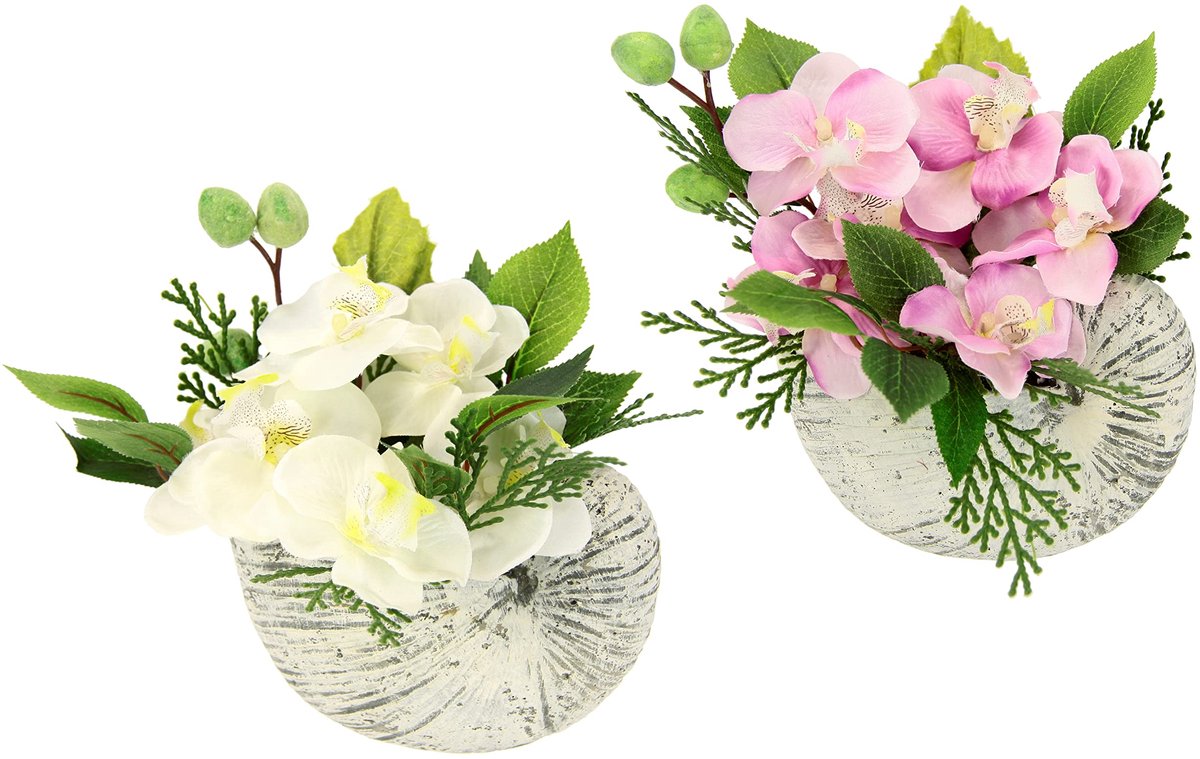 Ibenzoa Set van twee decoratieve kunstorchideeën in schelpvormige keramische pot Kleurjik