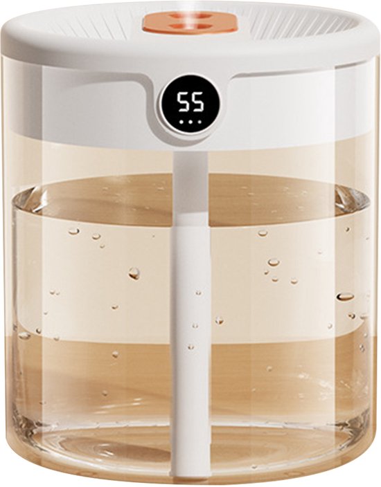 6L