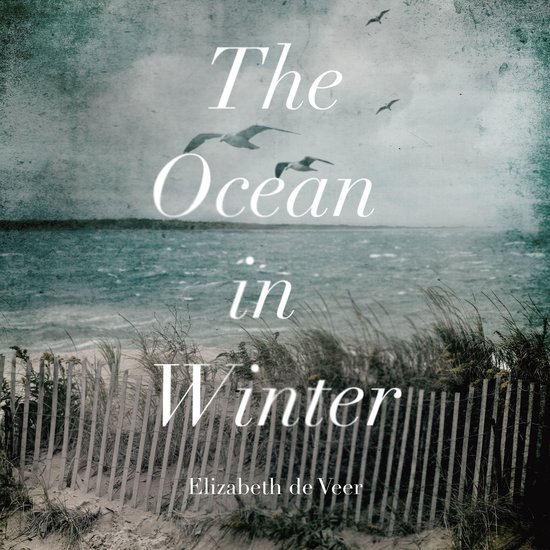The Ocean in Winter - cover