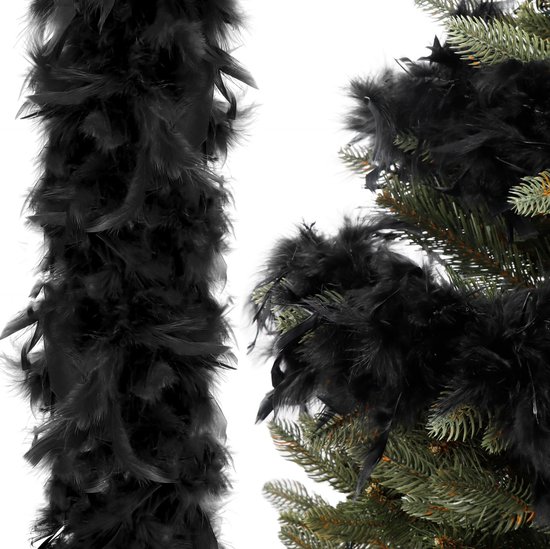 Boâ de plumes noir à côté de branches de sapin.