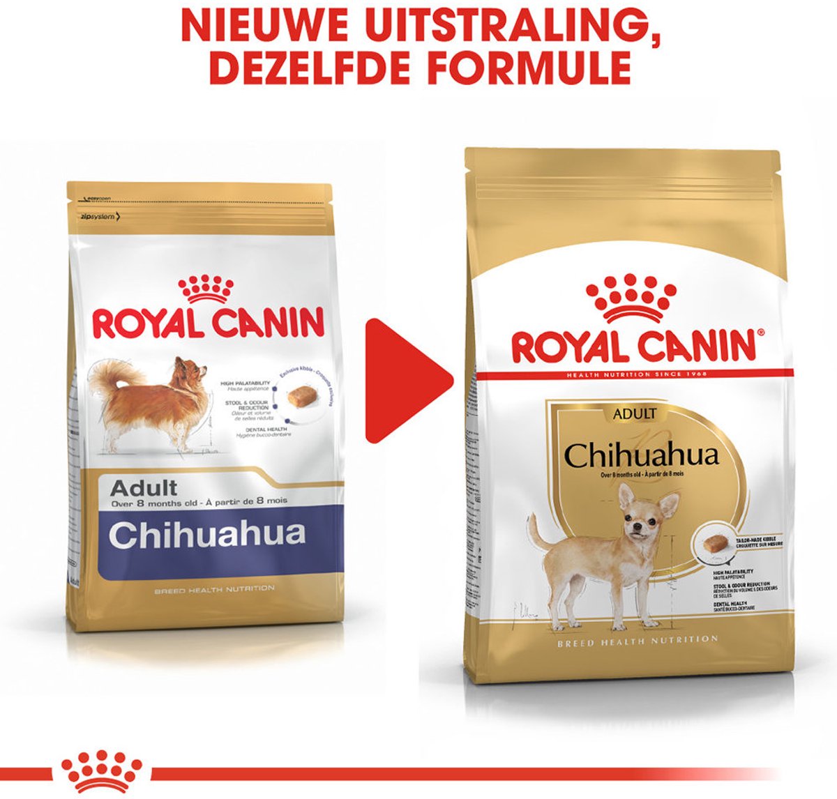 Royal Canin Chihuahua Adult - Voeding voor kieskeurige kleine honden thumbnail 2