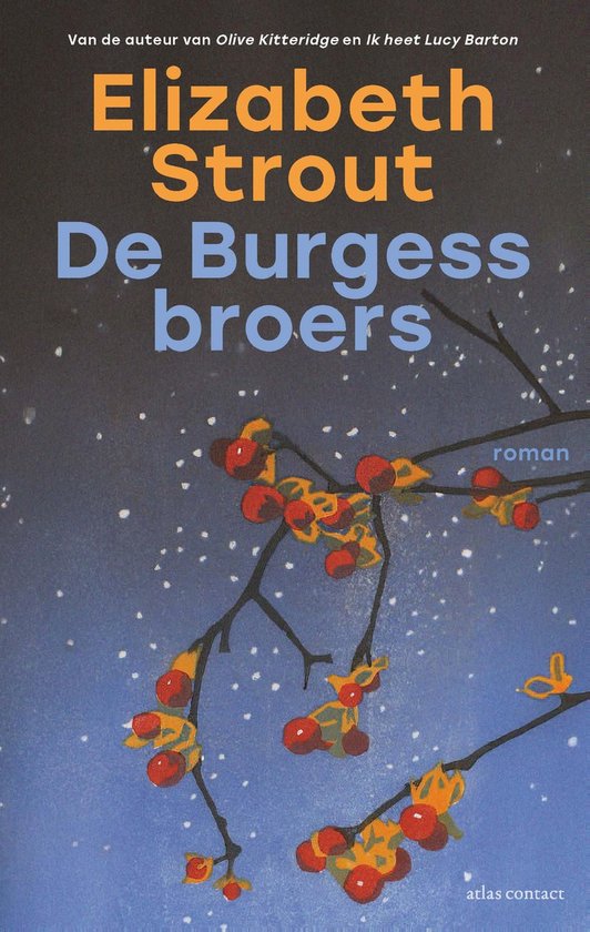 Lucy Barton 6 - De Burgess-broers - cover