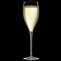 Een champagneflûte gevuld met bruisende champagne, tegen een zwarte achtergrond.