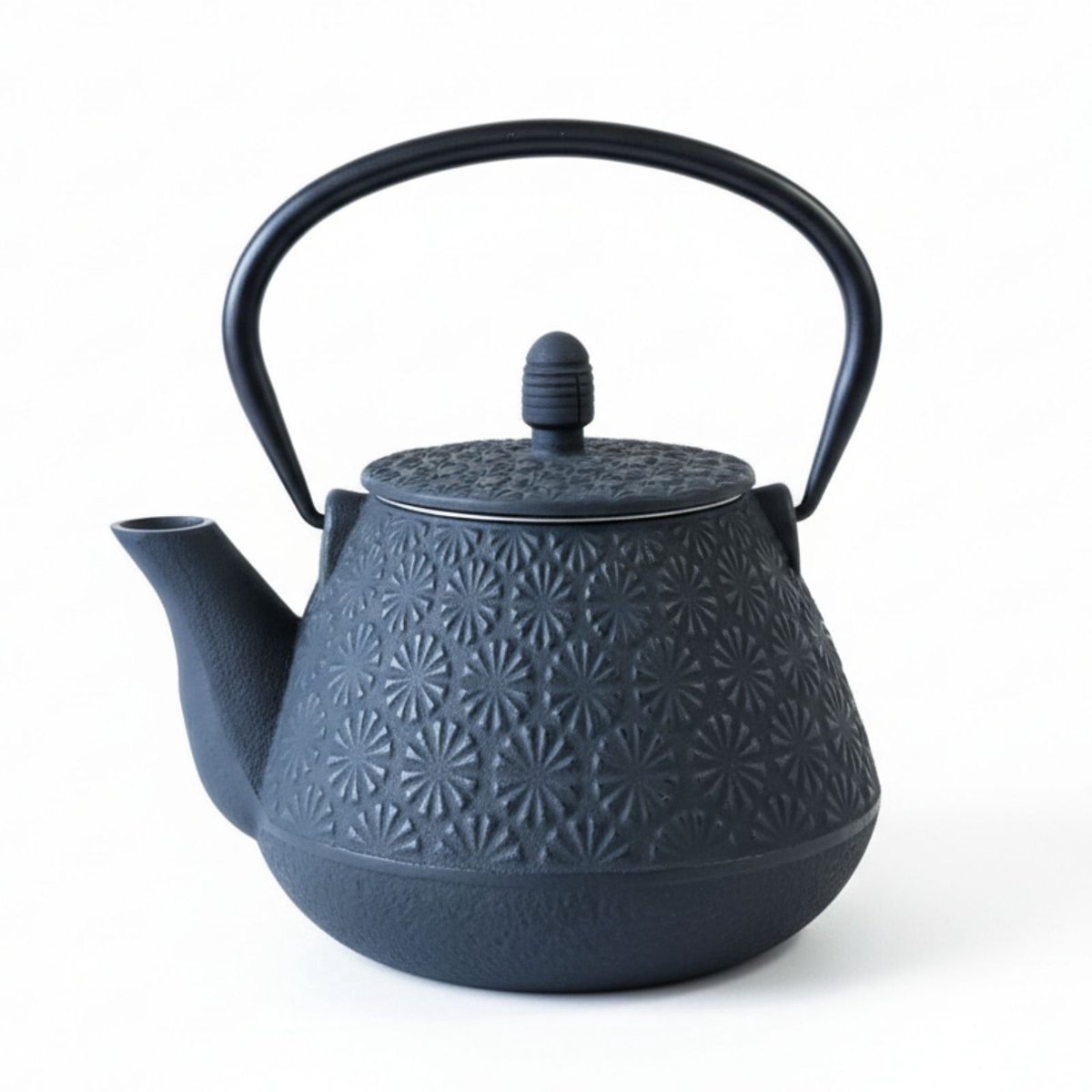 Gietijzeren theepot met infuser TAKI, 1000 ml