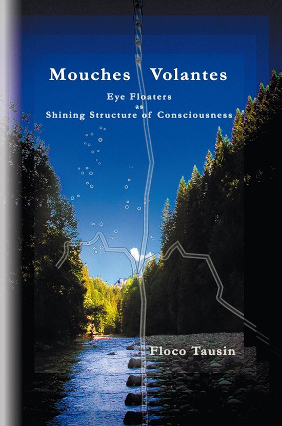 Mouches Volantes - cover