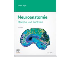 VORKLINIK - Lehrbuch - Urban & Fischer-Verlag - Neuroanatomie