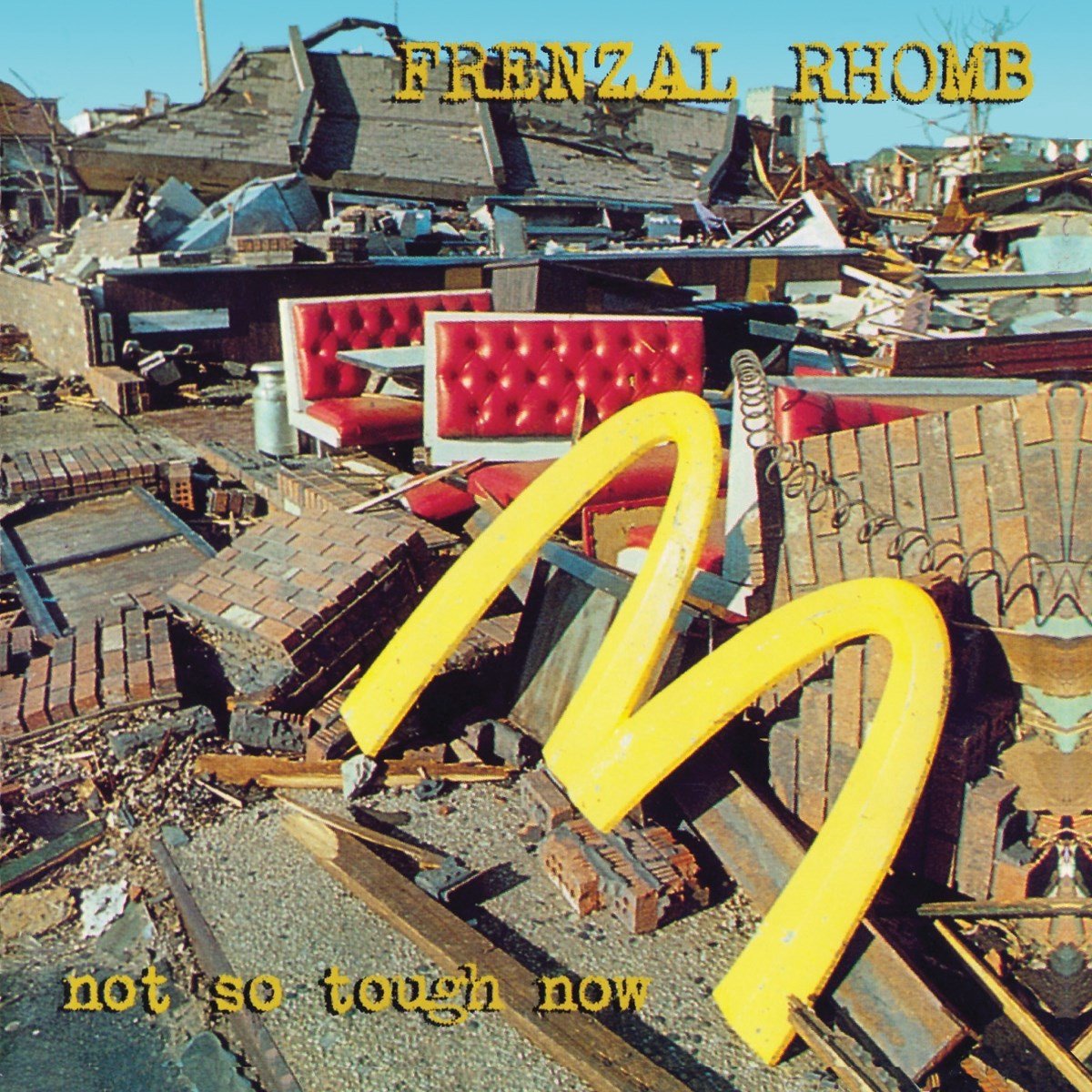 Frenzal Rhomb - Not So Tough Now (LP)