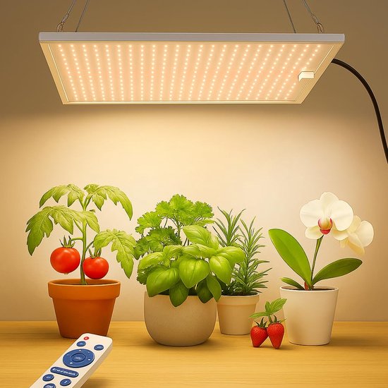 Groeilamp met afstandsbediening boven planten met tomaten, kruiden en orchidee.