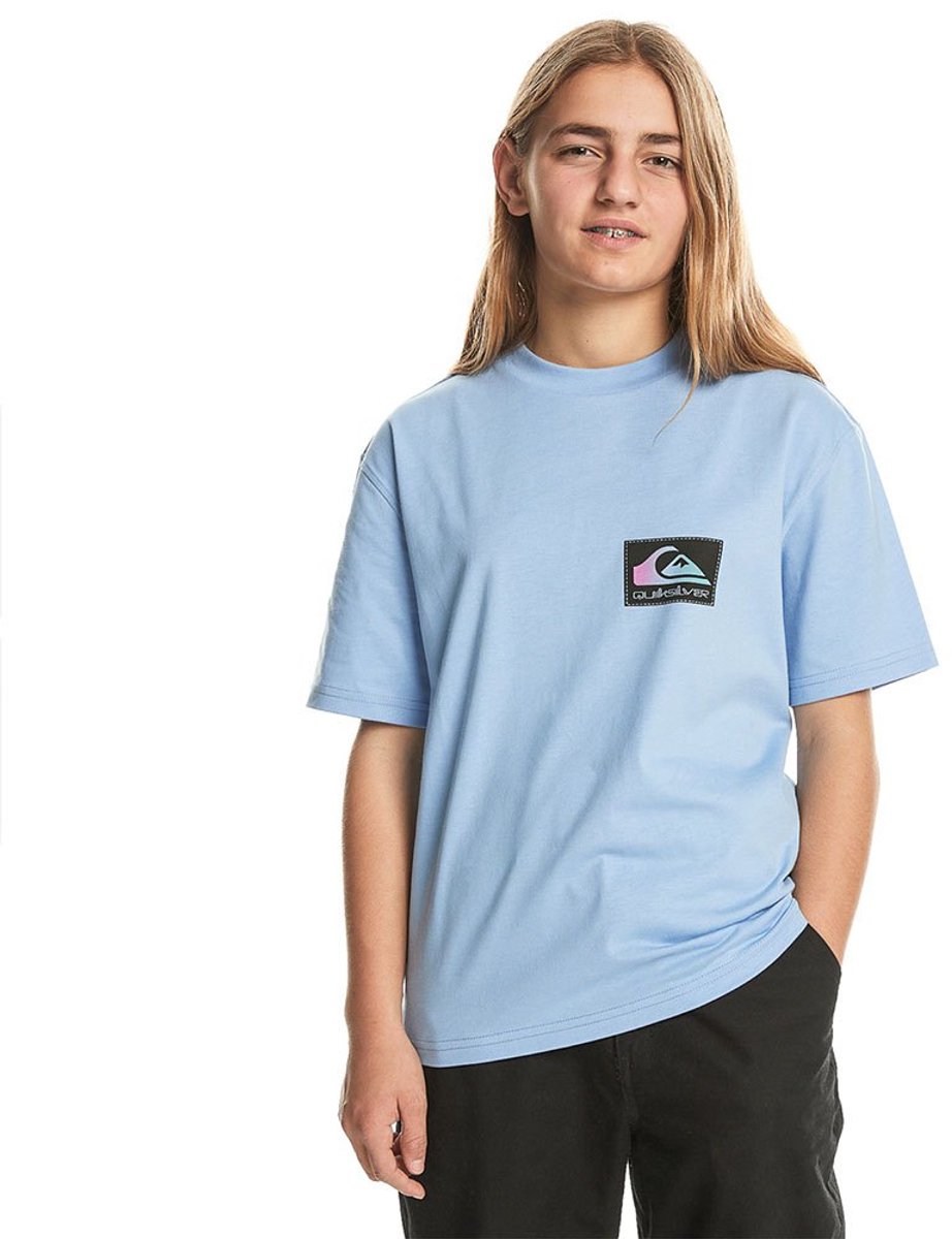 Quiksilver Back Flash T-shirt Met Korte Mouwen 16 Years Jongen Hydrangea