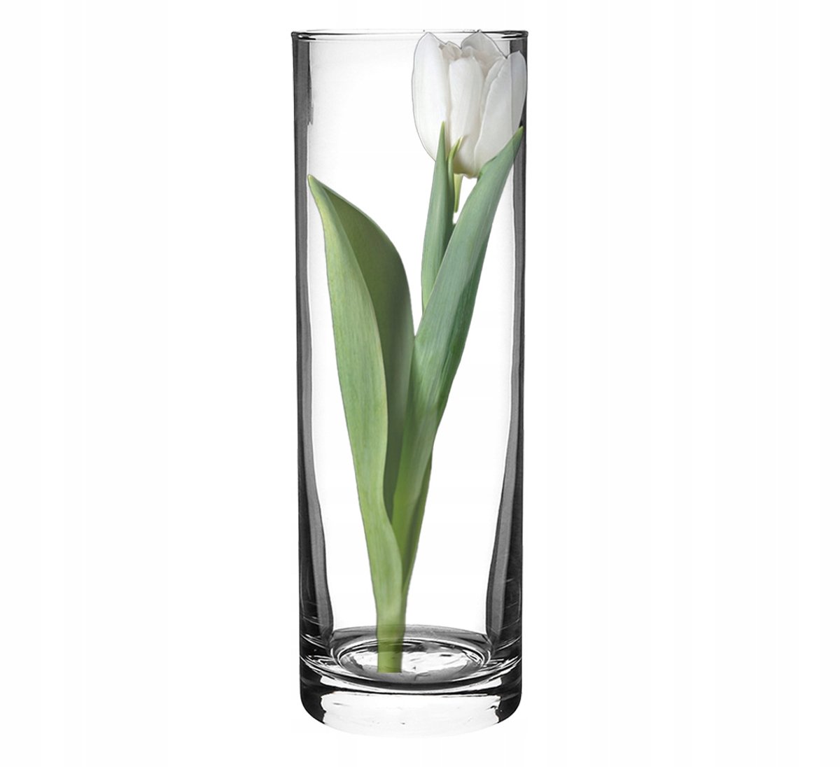 Edwanex Glazen Vaas Cilinder 40 cm - Decoratieve Vaas voor Bloemen