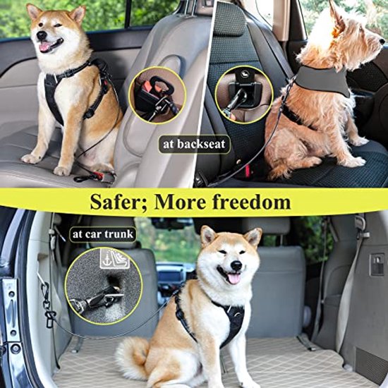 Hondengordel, autoharnas, veiligheidsgordel voor huisdieren, auto's, veiligheidslijn, verstelbare clip, hoofdsteun, elastische bungee, geen wirwar, riem voor kleine, middelgrote puppy's in voertuig