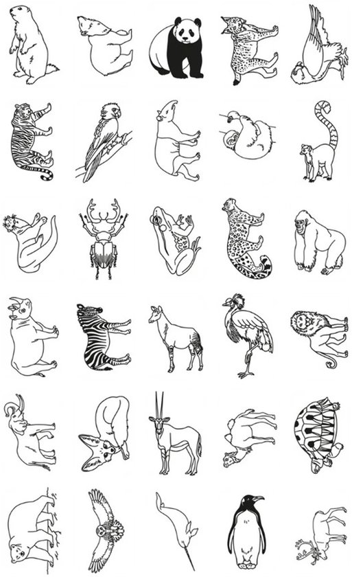 Kidywolf Refill Animals Around The World & Oceans and Pirates voor Kidydraw Mini van Merkloos — afbeelding 3