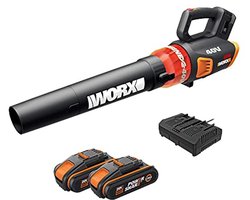 WORX - Borstelloze bladblazer 20 V – WG584E (levering met accu en oplader, turbine-technologie, 3 snelheden, tot 145 km/u, 720 m³/h)