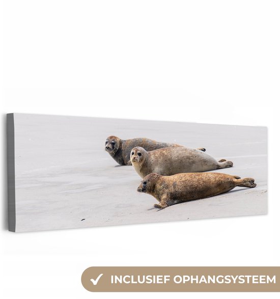 Canvas schilderij 150x50 cm - Wanddecoratie Zeehonden op Nord Friesland - Muurdecoratie woonkamer - Slaapkamer decoratie - Kamer accessoires - Schilderijen op canvas