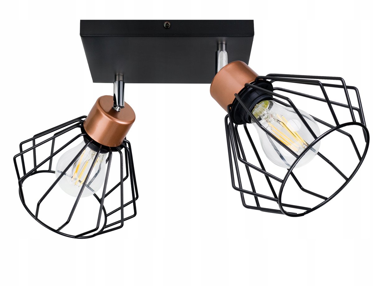 BRYLANT 2 Plafondlamp met Verstelbare Armen - Zwart Metaal