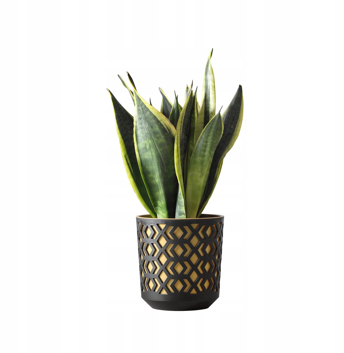 Lamela Aztek Bloempot Zwart/Goud Ø 30cm - Stijlvol Design