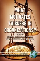 What Motivates Fairness in Organizations