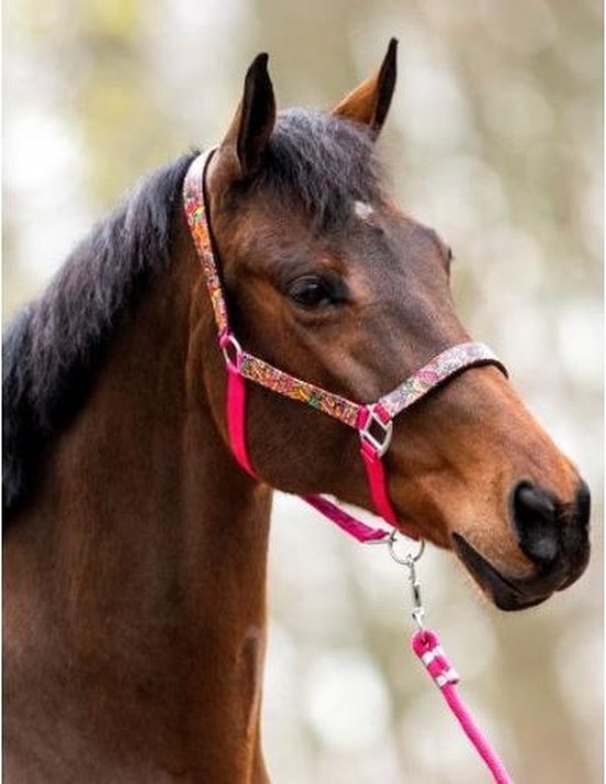 Paardenhalster met bontgekleurd, etnisch patroon in roze, blauw en geel met fuchsia banden.