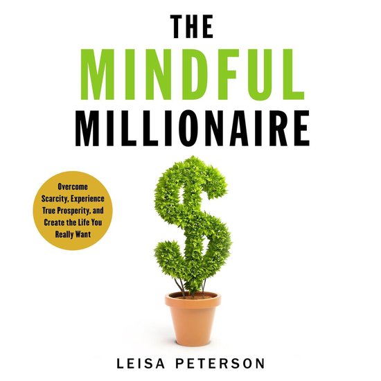 The Mindful Millionaire - cover
