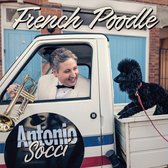 French Poodle