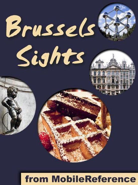 Brussels Sights: a travel guide to the top 30 attractions in ... - cover