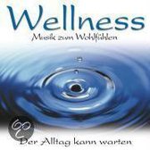 Wellness Musik zum Wohlfühlen 10. CD