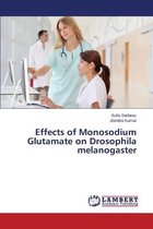 Effects of Monosodium Glutamate on Drosophila Melanogaster