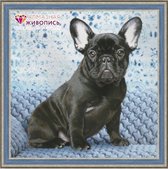 Diamond Painting pakket Franse Bulldog AZ-1459 40 x 40 cm