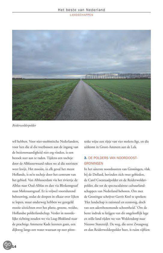 Reigerwolderpolder: een lange weg door een polderlandschap met rijen bomen.