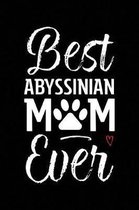 Best Abyssinian Mom Ever