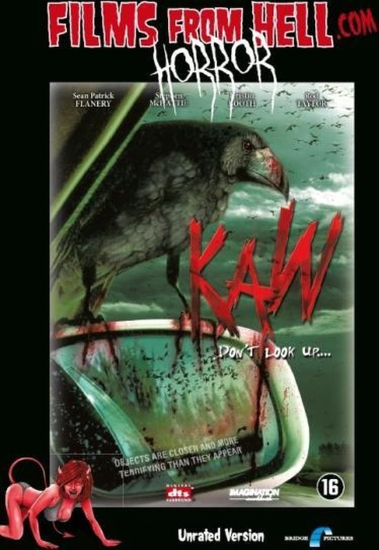 DVD-hoes van de horrorfilm 'Kaw'. Een grote raaf zit op een gebroken spiegel, met in de verte vliegende kraaien. De tekst 'Kaw - Don't Look Up' is zichtbaar.