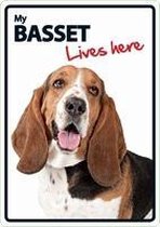 Beagle lives here