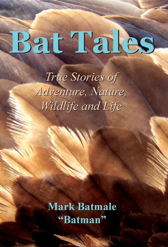Bat Tales - cover