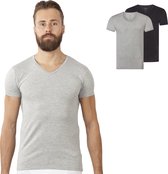 Finn Grijs V-Hals  (2-Pack) T-shirts, Maat L