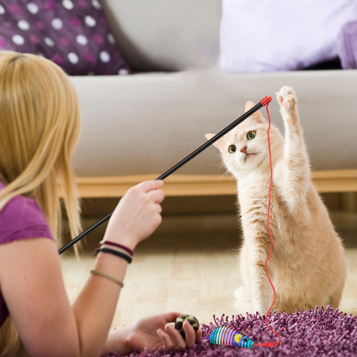 FRCOLOR katten teaser kattenspeelgoed cat toy pluche teaser
