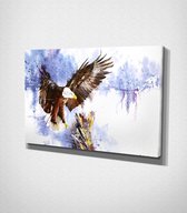 Eagle - Painting Canvas | 30x40 cm