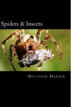 Spiders & Insects: Two Fascinating Books Combined Together Containing Facts, Trivia, Images & Memory Recall Quiz: Suitable for Adults & C