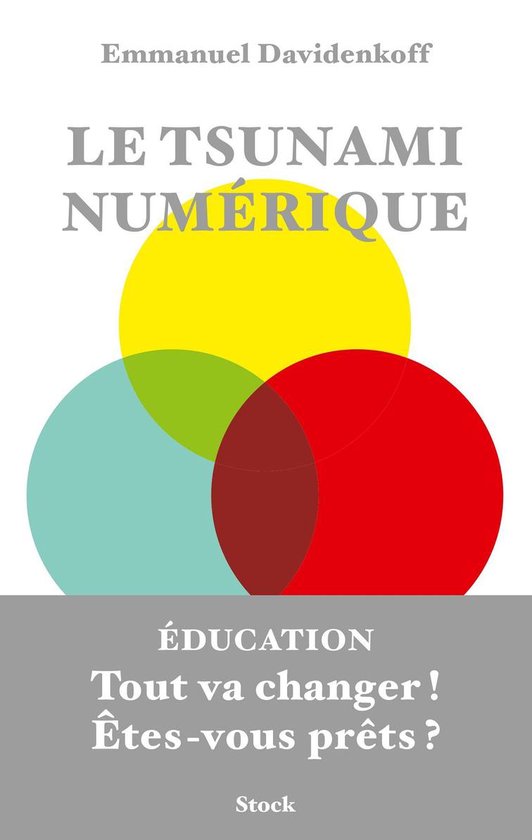Le tsunami numérique - cover