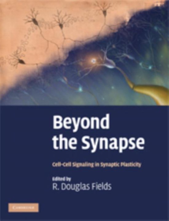 Beyond the Synapse - cover