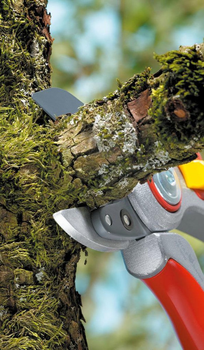 WOLF-Garten Snoeischaar "Professional" RS 5000 - aambeeld - max. knipdiameter 25 mm - links- en rechtshandige - snijhoek 30° - messen en aambeeld vervangbaar van WOLF-Garten — afbeelding 3