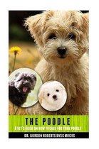The Poodle