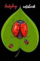 Ladybug Notebook