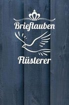 Brieftauben Fl sterer