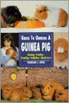 Guide To Owning A Guinea Pig