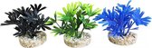 Sydeco mini donkere plant 14cm