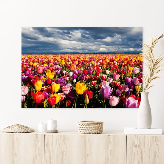 Canvas Schilderij Kleurrijk Tulpenveld