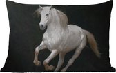 Buitenkussens - Paarden - Zwart - Portret - 60x40 cm - Weerbestendig